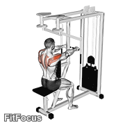 Lever Seated Reverse Fly GIF