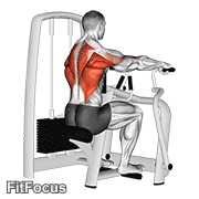 Lever Seated Row (seated lever row) GIF — animated back exercise demonstration