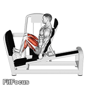 Lever Seated Squat Calf Raise On Leg Press Machine (seated lever squat calf raise on leg press machine) GIF — animated legs exercise demonstration