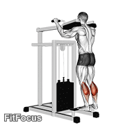 Lever Standing Calf Raise GIF