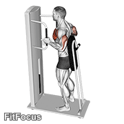 Lever Standing Chest Press GIF