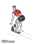 Lever T-bar Reverse Grip Row GIF