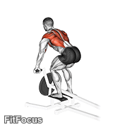 Lever T Bar Row GIF