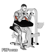 Lever Triceps Extension GIF