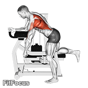 Lever Unilateral Row GIF