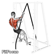 London Bridge GIF — animated back exercise demonstration