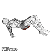 Low Glute Bridge On Floor GIF