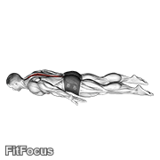 Lower Back Curl GIF — animated back exercise demonstration