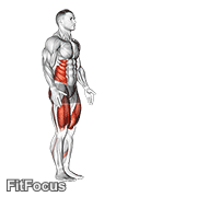 Lunge With Twist GIF