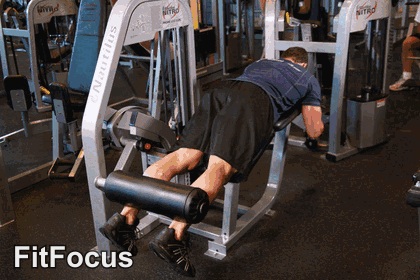Lying Leg Curl animated form demonstration