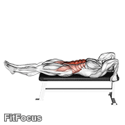 Lying Leg-hip Raise GIF