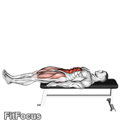 Lying Leg Raise Flat Bench GIF