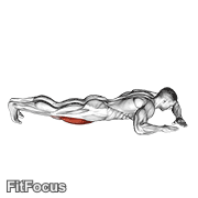 Lying (side) Quads Stretch GIF