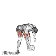 Medicine Ball Chest Push From 3 Point Stance GIF