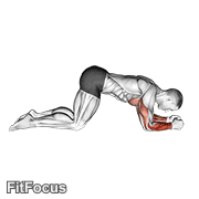 Modified Push Up To Lower Arms GIF