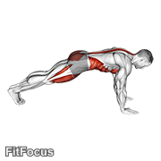 Mountain Climber animated form demonstration