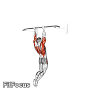 Muscle-up (on Vertical Bar) GIF