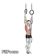 Muscle Up GIF
