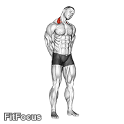 Neck Side Stretch GIF