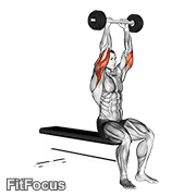 Olympic Barbell Triceps Extension GIF