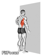 One Arm Against Wall GIF — animated back exercise demonstration