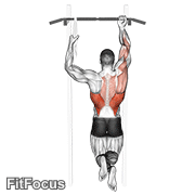 One Arm Chin-up GIF