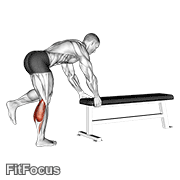 One Leg Donkey Calf Raise GIF