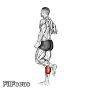 One Leg Floor Calf Raise GIF