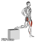 One Leg Squat GIF