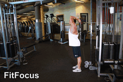 Overhead Triceps Extension