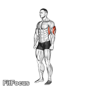 Overhead Triceps Stretch GIF