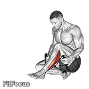 Peroneals Stretch GIF
