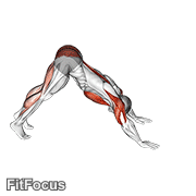 Pike-to-cobra Push-up GIF