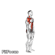 Posterior Step To Overhead Reach GIF