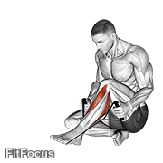 Posterior Tibialis Stretch GIF
