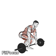 Power Clean GIF — animated legs exercise demonstration