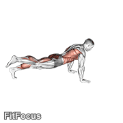 Power Point Plank GIF