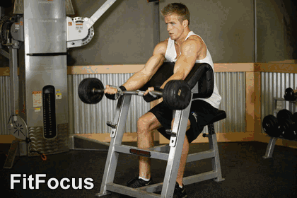 Preacher Curl