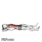 Prisoner Half Sit-up (male) GIF
