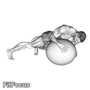 Prone Twist On Stability Ball GIF
