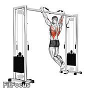 Pull Up (neutral Grip) GIF — animated back exercise demonstration