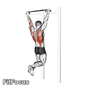 Pull-Up animated form demonstration