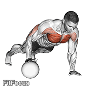 Push-up Medicine Ball GIF