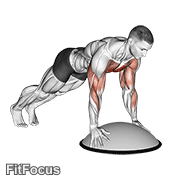 Push Up On Bosu Ball GIF