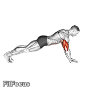 Push-up On Lower Arms GIF