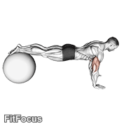 Push-up (on Stability Ball) GIF