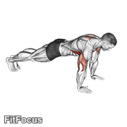 Push-up Plus GIF — animated chest exercise demonstration