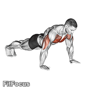 Push-Up animated form demonstration