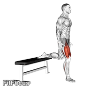 Quads GIF — animated legs exercise demonstration