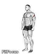 Rear Deltoid Stretch GIF